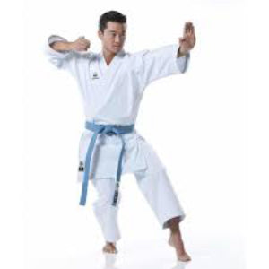 Tokaido- WKF APPROVED KATA GI