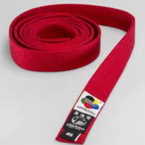 Tokaido WKF APPROVED- RED & BLUE BELTS