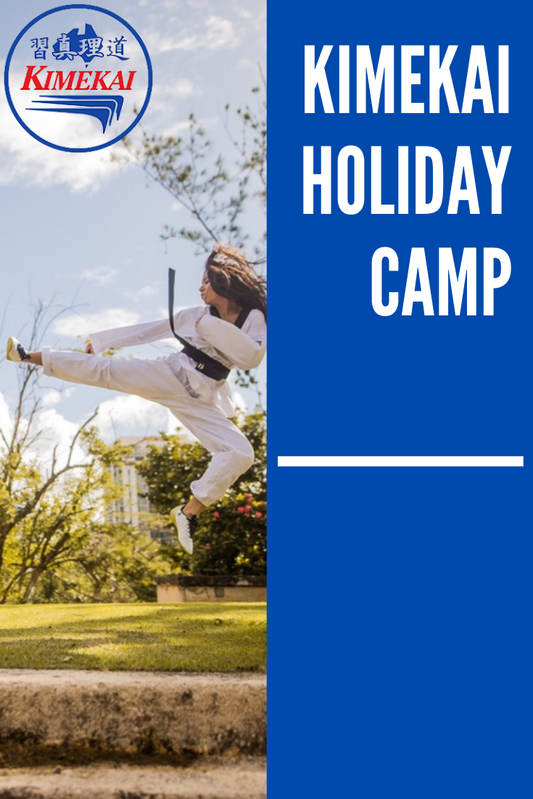 Holiday Karate Camp